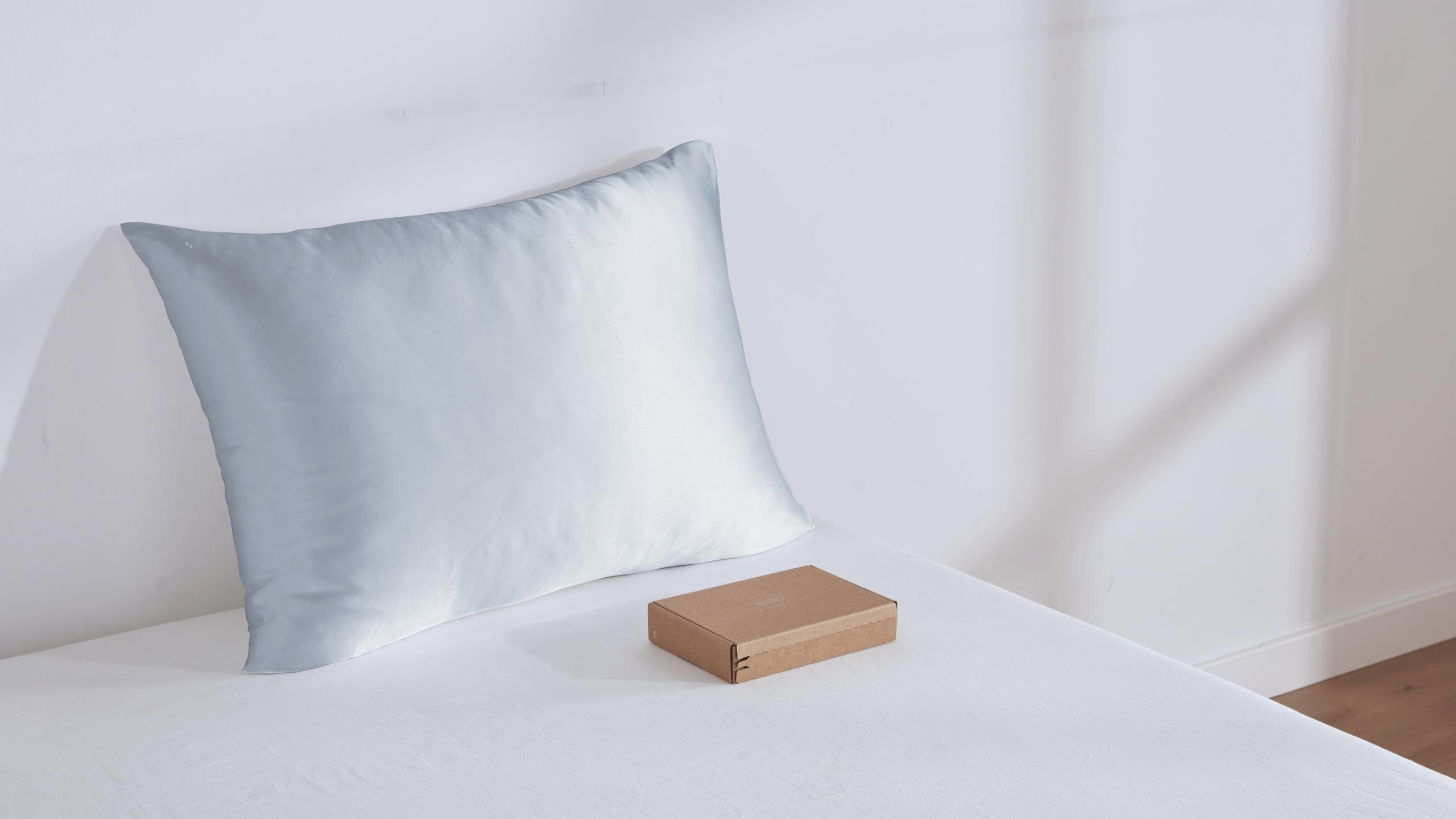 (Sky Blue) Silk Pillowcases 100 Pure Silk Boxing Day Sale