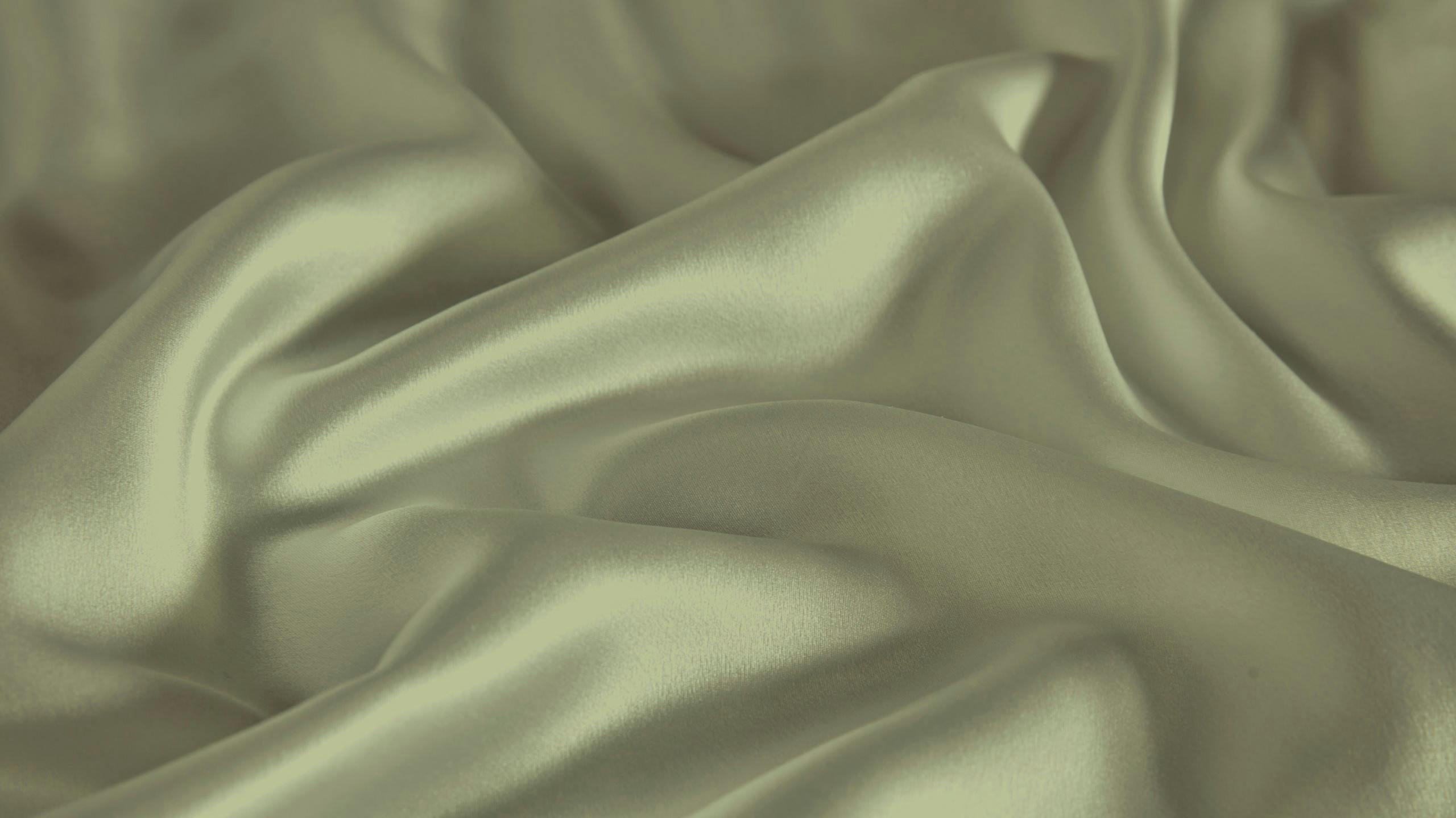 Ecosa Silk Pillowcase