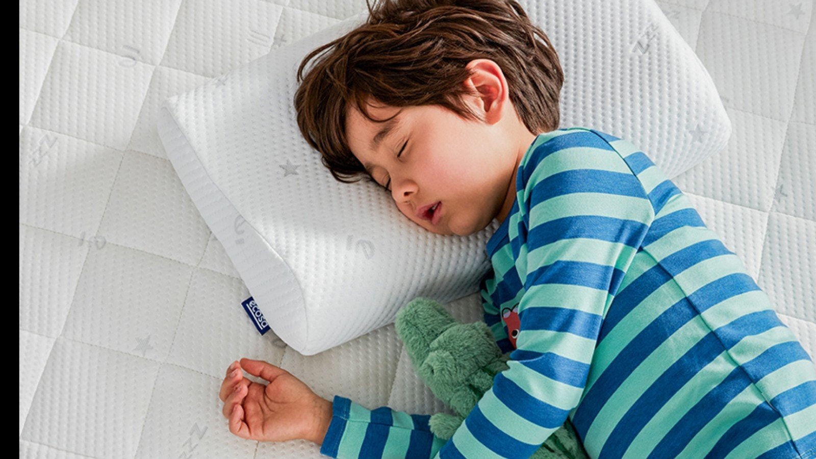 Ecosa Kids Pillow Memory Foam & Removable Cover
