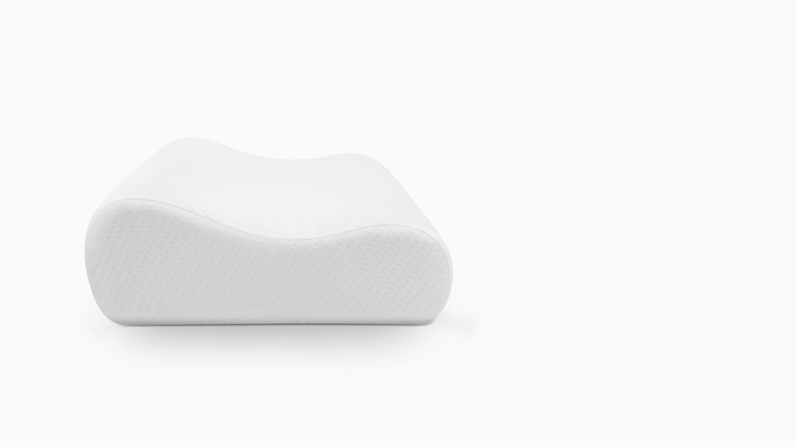 Ecosa memory 2025 foam pillow