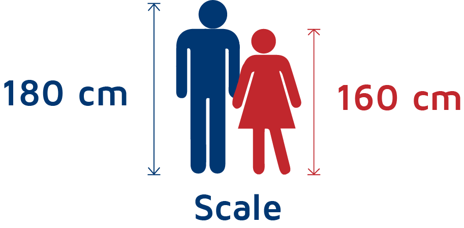 Mattress Scale