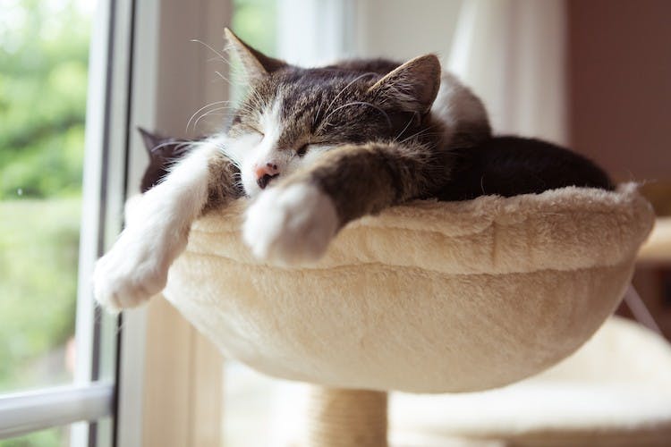 How to Reset Your Body Clock