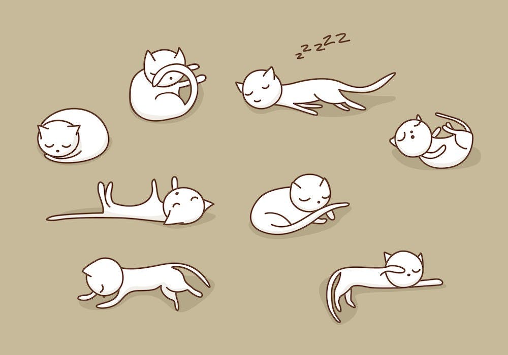 The best and the worst sleeping position for your health